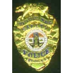 LOS ANGELES, CA CO SAFETY POLICE BADGE PIN